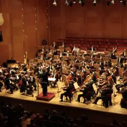 Orchestra del Teatro Comunale di Bologna