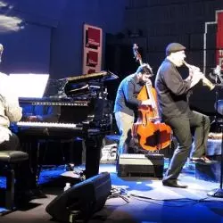 Ozone Acoustyle Quartet