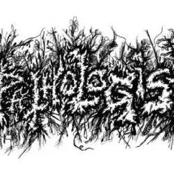 Pathologist