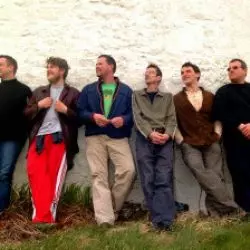 Peatbog Faeries