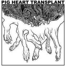 Pig Heart Transplant