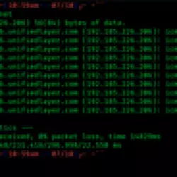 Ping