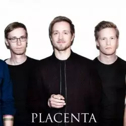 Placenta