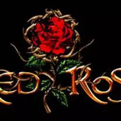 Red Rose