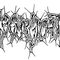 Regurgitate