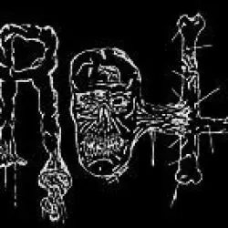 Rot