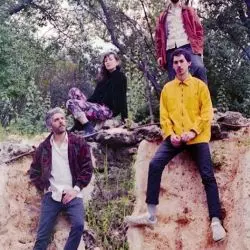 Şatellites