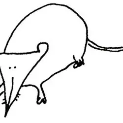 Scupper