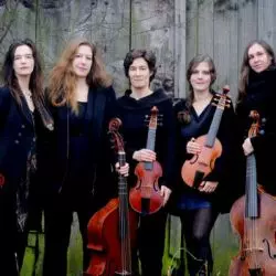 Sirius Viols
