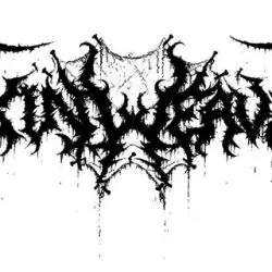Skinweaver