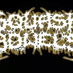 Squash Bowels