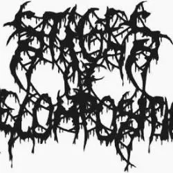 Stages Of Decomposition