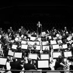 Stavanger Symfoniorkester