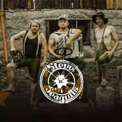 Steve'n'Seagulls