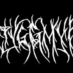 Styggmyr