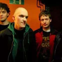 The Accelerators