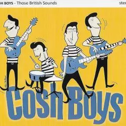 The Cosh Boys