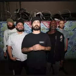 The Expanders