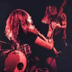The Lizards