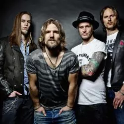 The New Roses