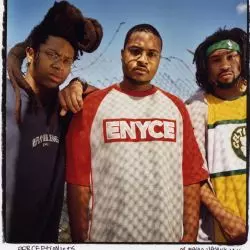 The Perceptionists