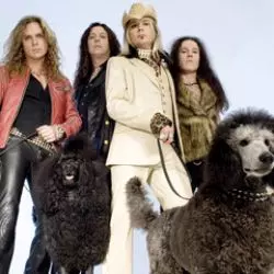 The Poodles