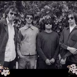 The Sadies