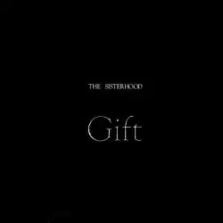 The Sisterhood