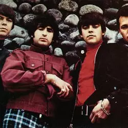 The Standells