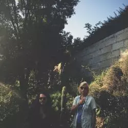 The Sunflowers