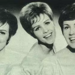 The Vernons Girls
