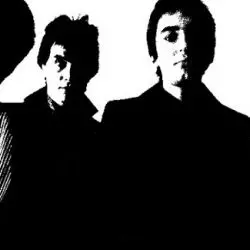 The Wasps