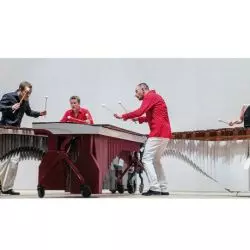 The Wave Quartet