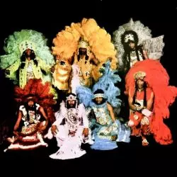 The Wild Magnolias