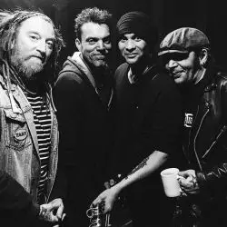 The Wildhearts
