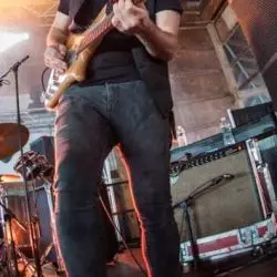 Tom Hamilton