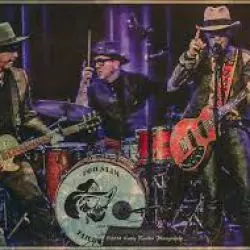 Too Slim And The Taildraggers