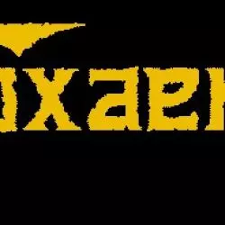 Toxaemia