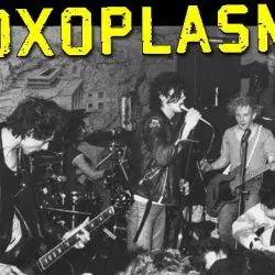 Toxoplasma