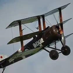 Triplane