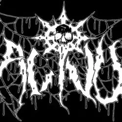 Vacivus