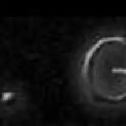 (V.E.G.A.)