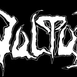 Vultur