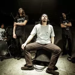 waterweed