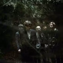Woods Of Birnam