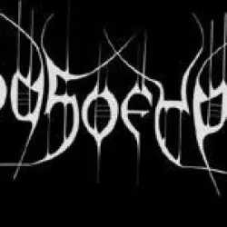 Woods Of Ypres