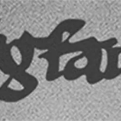 Ygfan