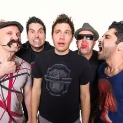 Zebrahead