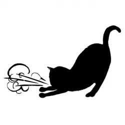 Asthmatic Kitty Records