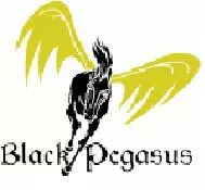 Black Pegasus